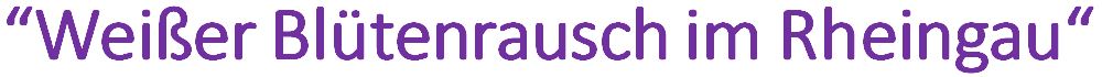 Schrift Weißer Blütenrausch im Rheingau
